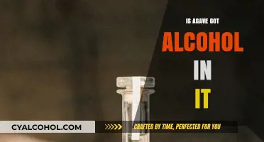 Does Agave Contain Alcohol? Unraveling the Truth About Agave's Composition