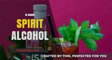 Is Agave Spirit Alcohol? Unveiling the Truth Behind This Popular Drink
