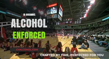 Is Agganis Arena's Alcohol Policy Strictly Enforced? What to Know