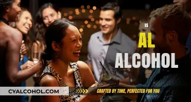 Is All Alcohol Created Equal? Exploring Types, Effects, and Health Impacts