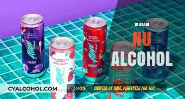 Is Alani Nu Alcohol-Free? Exploring Ingredients and Health Claims