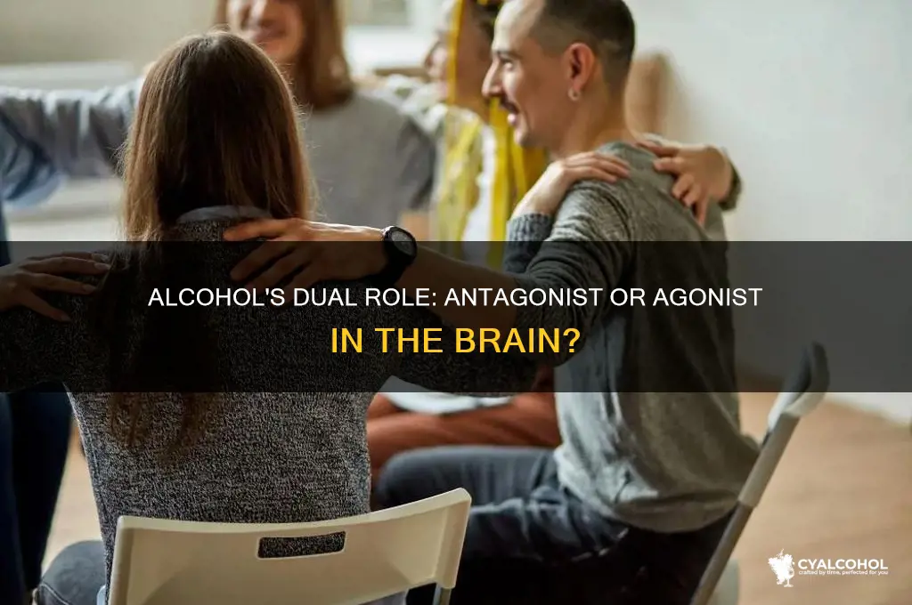is alcohol a antagonist or agonist