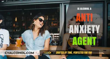Alcohol and Anxiety: Does Drinking Really Calm Your Nerves?