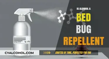 Can Alcohol Repel Bed Bugs? Separating Fact from Fiction