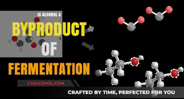 Is Alcohol a Byproduct of Fermentation? Unraveling the Science Behind It
