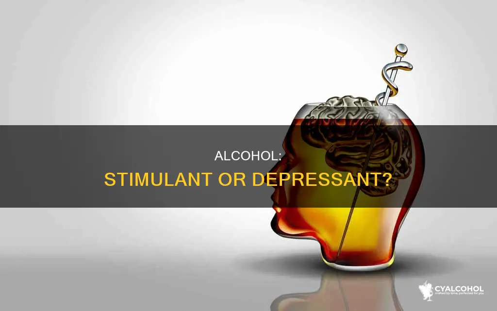 is alcohol a central nervous system depressant or stimulant