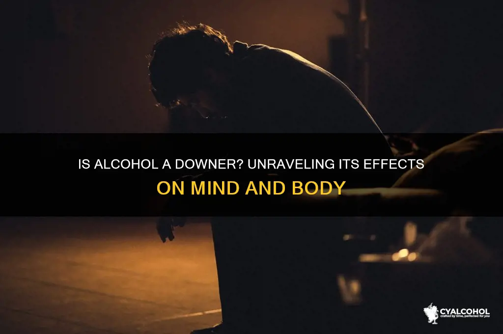 is alcohol a downer