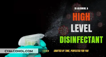 Alcohol as a High-Level Disinfectant: Fact or Fiction?