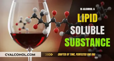 Is Alcohol Lipid Soluble? Understanding Its Solubility Properties