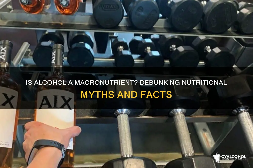 is alcohol a macronutrient