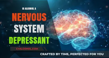 Is Alcohol a Nervous System Depressant? Unraveling the Science Behind It
