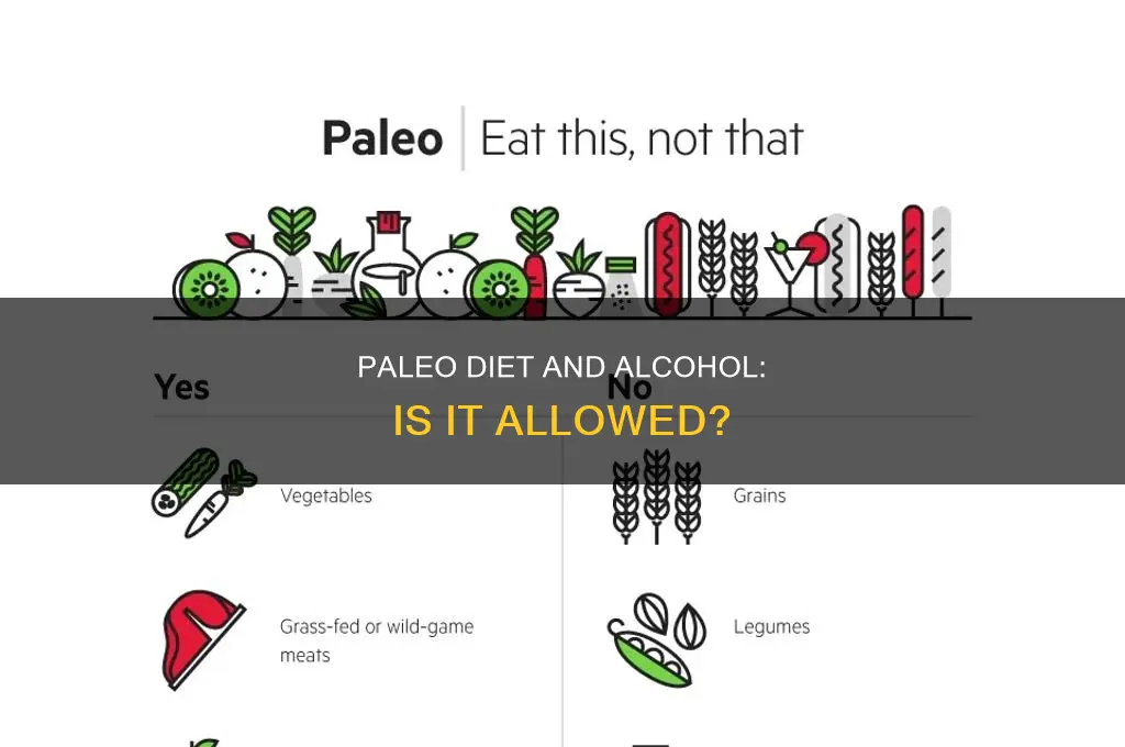 is alcohol a part of the paleo diet