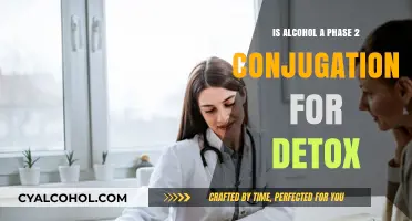 How Alcohol Conjugation Aids Detoxification