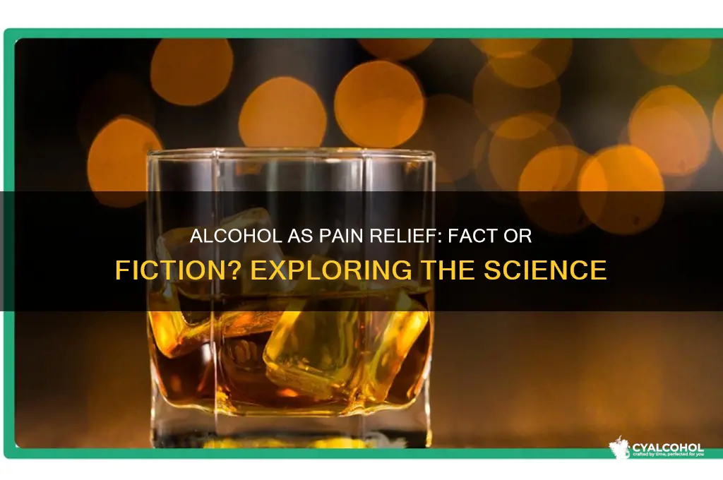 is alcohol a physical pain reliever