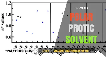 Is Alcohol a Polar Protic Solvent? Understanding Its Chemical Nature