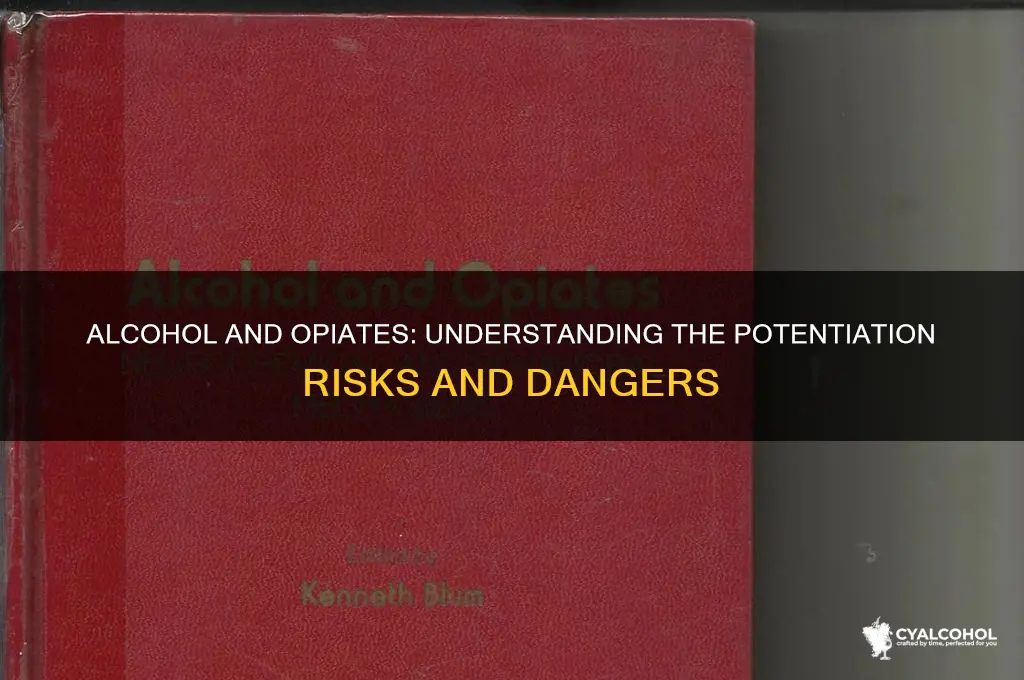 Alcohol And Opiates: Understanding The Potentiation Risks And Dangers ...