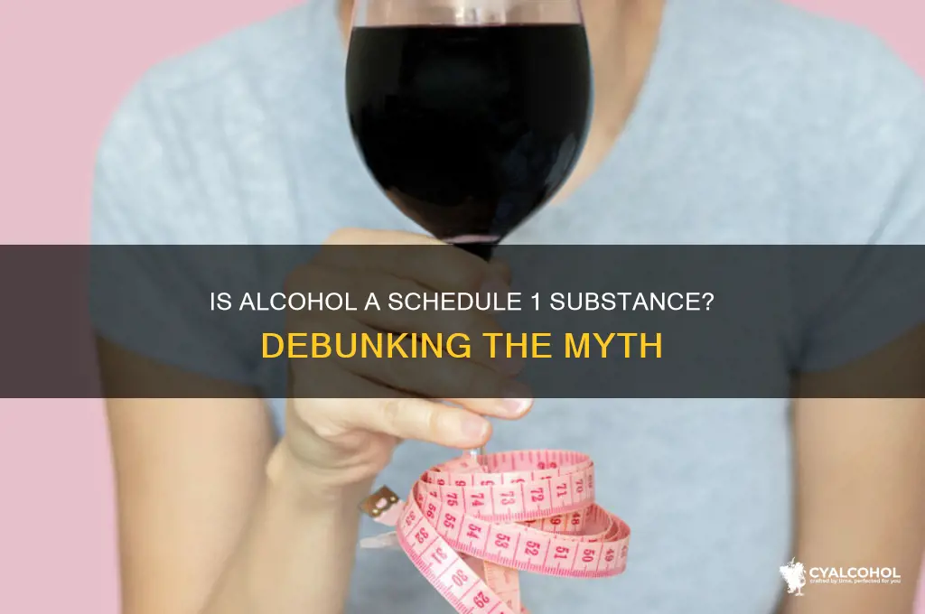 is alcohol a schedule 1 substance