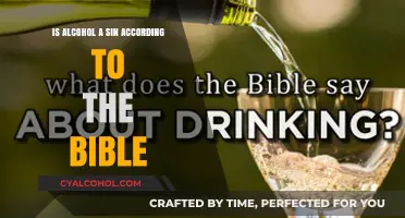 Alcohol and Sin: Biblical Perspective