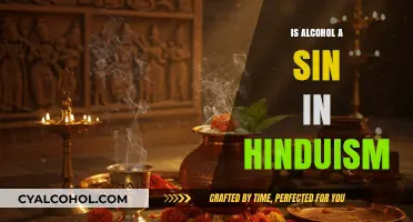 Alcohol in Hinduism: Sin or Personal Choice?
