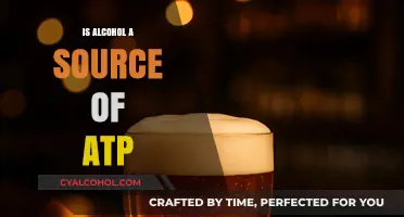 Can Alcohol Fuel Your Cells? Exploring ATP Production and Metabolism