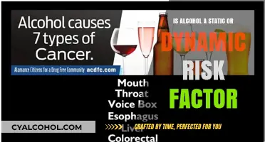 Alcohol: A Dynamic Risk Factor That Changes Over Time
