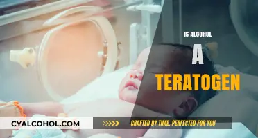 Alcohol and Fetal Development: Understanding Teratogenic Risks and Effects