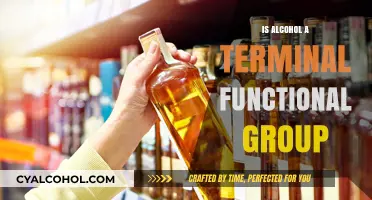 Is Alcohol a Terminal Functional Group? Unraveling Organic Chemistry Basics