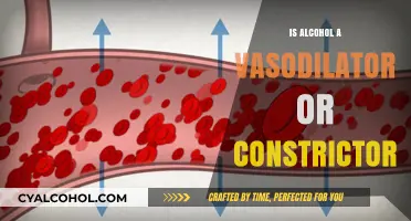 Alcohol's Impact: Vasodilator or Constrictor? Unraveling the Truth