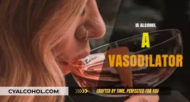 Does Alcohol Widen Blood Vessels? Exploring Its Vasodilator Effects