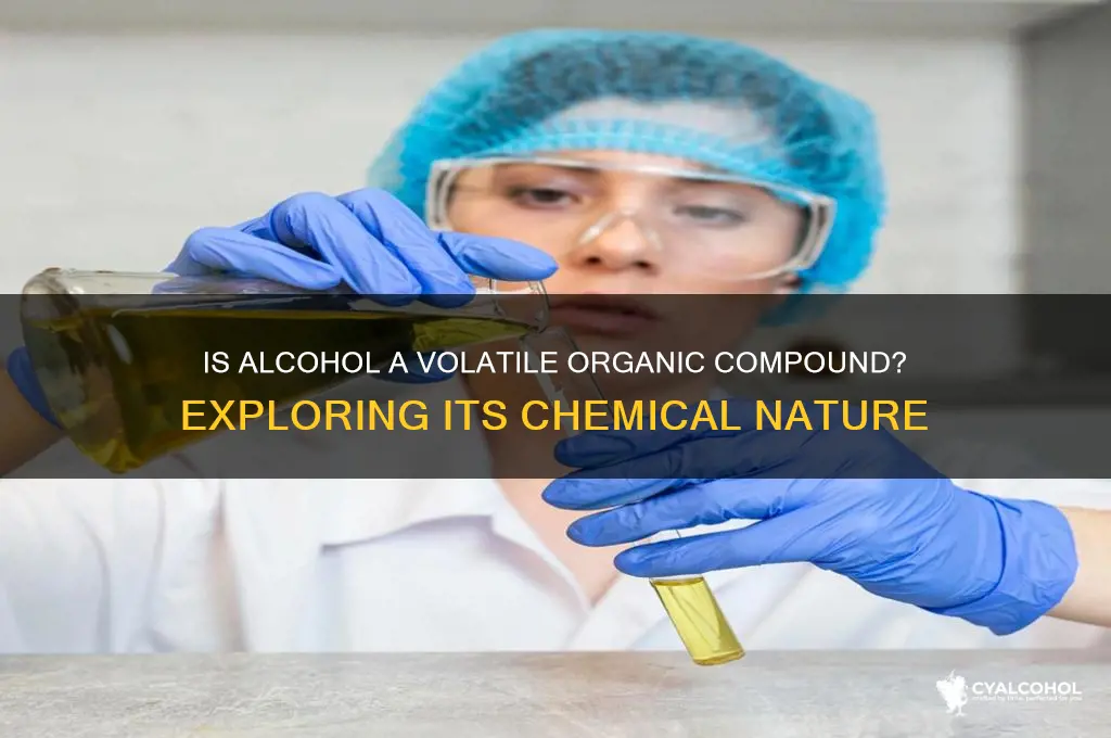 is alcohol a volatile organic compound
