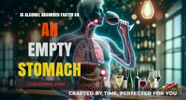 Empty Stomach, Faster Alcohol Absorption?