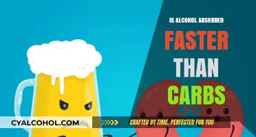 Alcohol vs. Carbs: Which Absorbs Faster in Your Body?