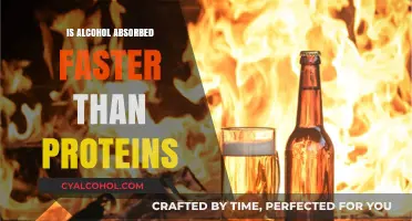 Alcohol vs. Proteins: Which Nutrient Absorbs Faster in Your Body?