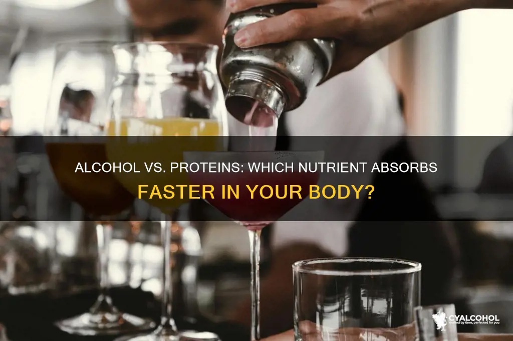 is alcohol absorbed faster than proteins