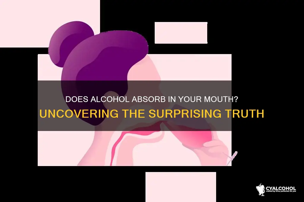 is alcohol absorbed in the mouth