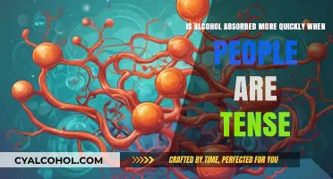 How Tension Impacts Alcohol Absorption in the Body
