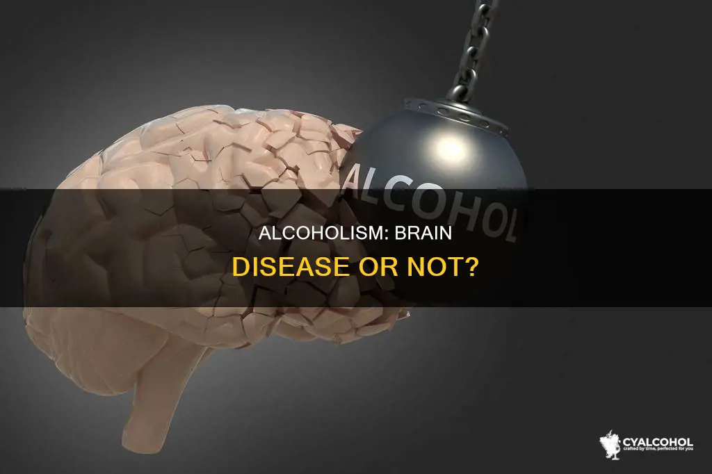 is alcohol abuse disorder severe a organic brain disease