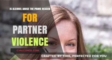 Alcohol Abuse: The Root of Partner Violence?