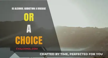 Alcohol Addiction: Disease or Choice?