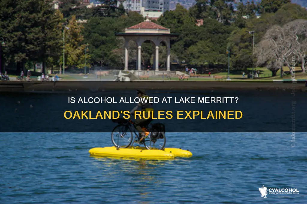 is alcohol alliwed by lake merritt
