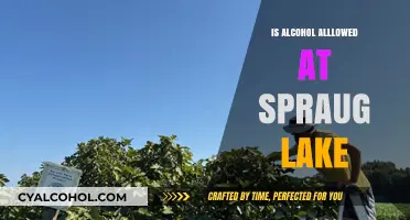 Alcohol Policy at Spruill Lake: What You Need to Know