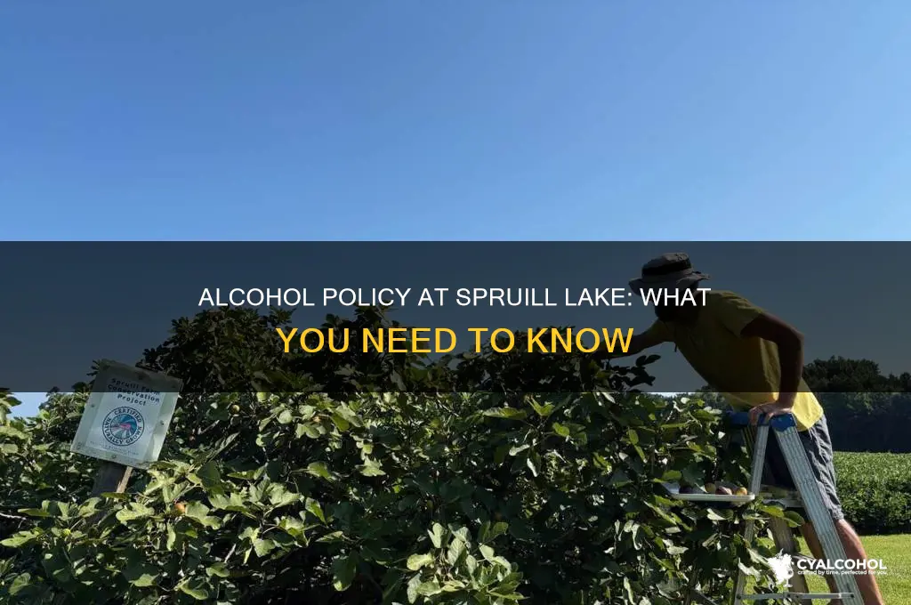 is alcohol alllowed at spraug lake