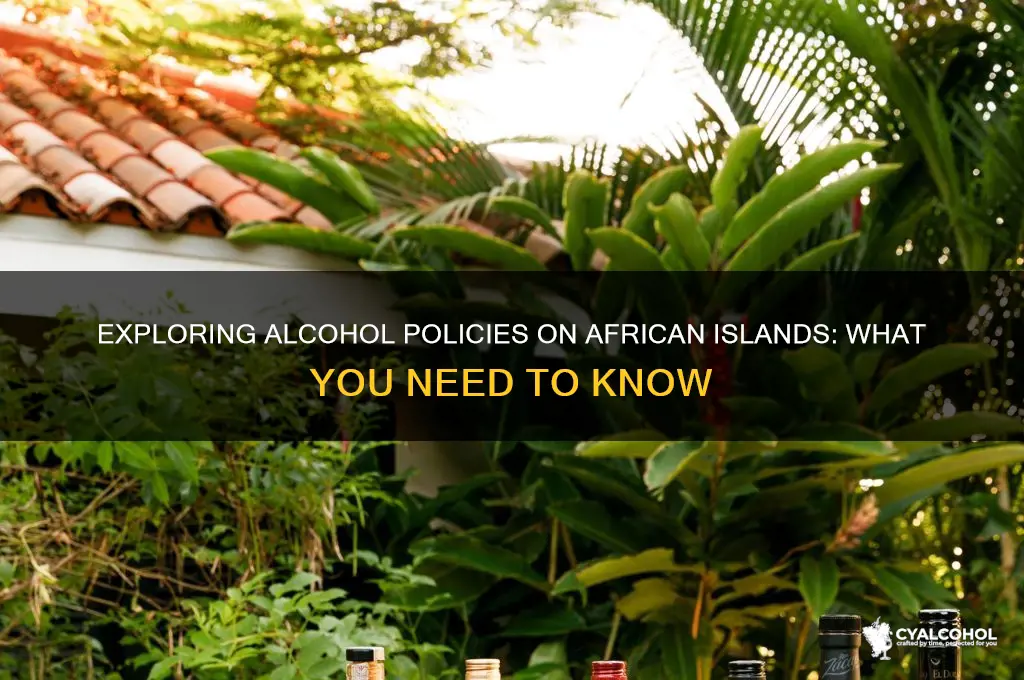 is alcohol allowed at african island
