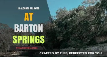 Can You Bring Alcohol to Barton Springs? Rules and Guidelines Explained