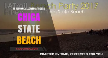 Bolsa Chica State Beach Alcohol Rules Explained