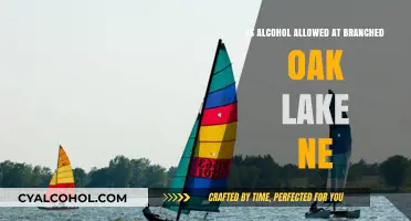 Alcohol Consumption Rules at Branched Oak Lake, NE