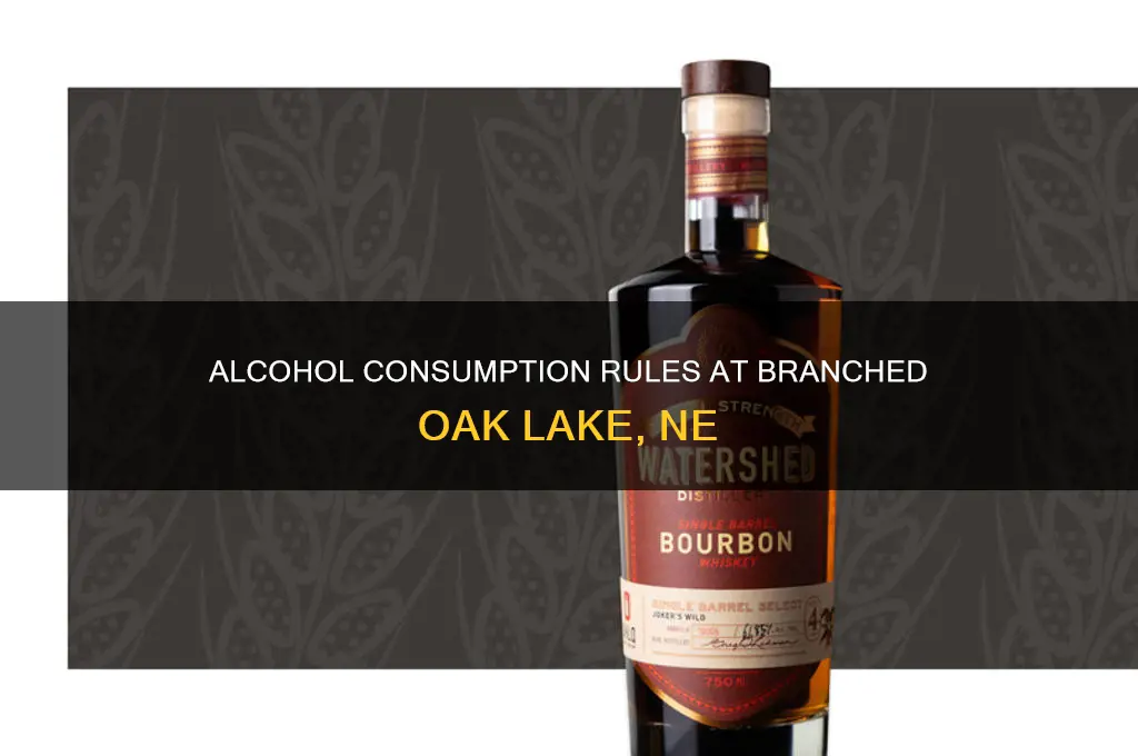 is alcohol allowed at branched oak lake ne