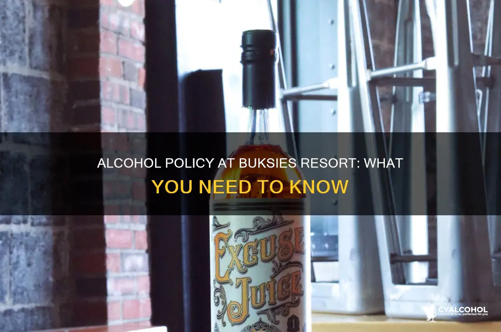 is alcohol allowed at buksies resort