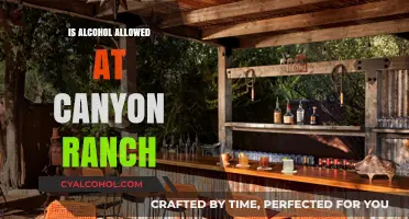 Is Alcohol Allowed at Canyon Ranch? Policies and Guest Experience Explained