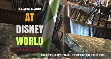 Can You Bring or Buy Alcohol at Disney World? Rules Explained